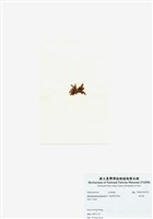 藏品(旋花藻)的圖片